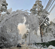 «Ледяной дождь» обошелся энергетикам Подмосковья в 1 миллиард