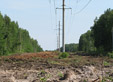 44 га просек под ЛЭП расчистили энергетики из «Балахнинских электрических сетей»