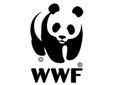 WWF комментирует обзор мировой энергетики-2012