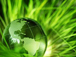 Приглашаем принять участие в VII Всероссийском Конгрессе «Государственное регулирование охраны окружающей среды и обеспечения экологической безопасности 2014 осень»