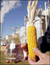 Биотопливо из кукурузы оказалось вреднее бензина